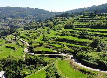 japan/shikoku-island/attraction/yoshinobu-rice-terraces