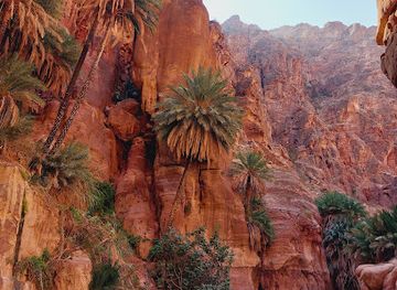 jordan/feynan-ecolodge/attraction/green-oasis