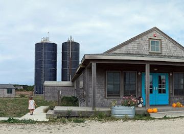 massachusetts/martha-s-vineyard/attraction/katama-farm