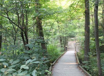 pennsylvania/allegheny-national-forest/attraction/asbury-woods