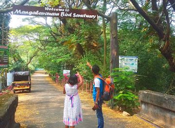 india/kochi/attraction/mangalavanam-bird-sanctuary