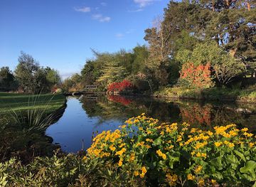 united-kingdom/inverness/attraction/oldtown-of-leys-garden
