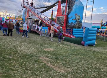 arizona/chandler/attraction/ostrich-festival