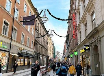 sweden/bjorkliden/attraction/drottninggatan