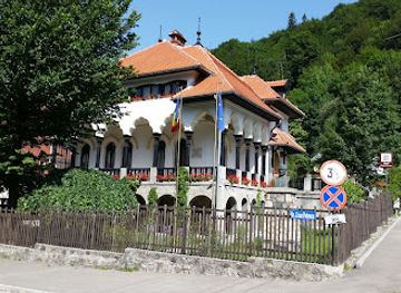 romania/prahova/attraction/cezar-petrescu-memorial-museum