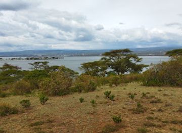 kenya/mount-longonot/attraction/lake-naivasha-achas-boat-safaris