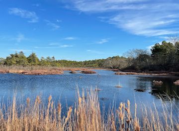new-jersey/pine-barrens/attraction/whitesbog-historic-village
