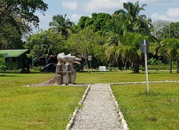 colombia/los-llanos/attraction/ecotematico-wisirare-park