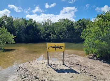 mexico/holbox-island/attraction/bioluminiscencia