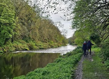 ireland/county-carlow/attraction/altamont-gardens