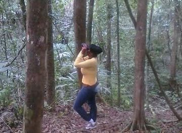 belize/northern-belize/attraction/la-milpa