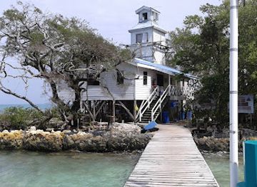 belize/southern-belize-barrier-reef/attraction/abalone-caye-port-honduras-marine-reserve