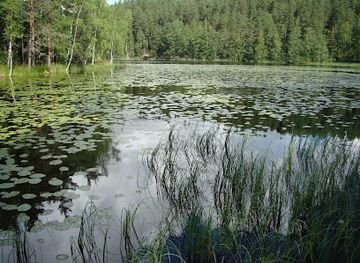 finland/halti/attraction/korpinkierros-trail