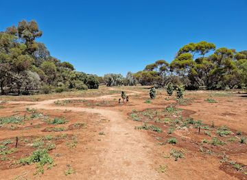 australia/mallee/attraction/australian-inland-botanic-gardens