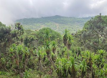 kenya/aberdare-national-park/attraction/mt-kipipiri