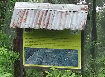 bhutan/chhukha-district/attraction/thulo-dumtoe-s-community-forest