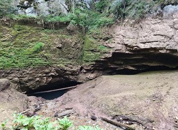 romania/bihor-mountains/attraction/pestera-coiba-mica