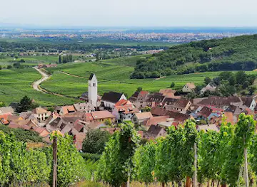 Castle Wineck