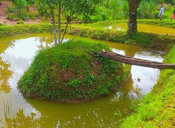 cameroon/foumban/attraction/kamalis-parc