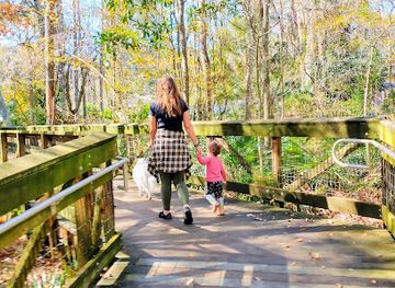 florida/gainesville/attraction/alfred-a-ring-park