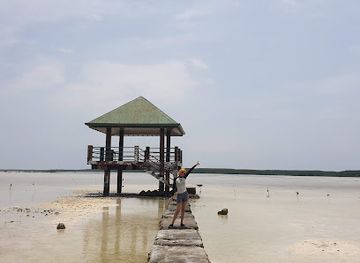 philippines/central-visayas/attraction/olango-island-wildlife-sanctuary