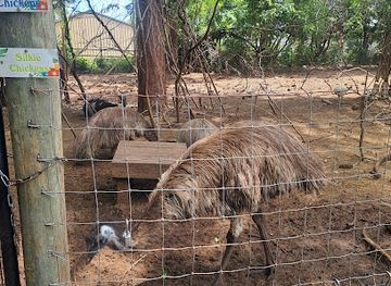 north-carolina/sandhills/attraction/dunrovin-exotic-animal-sanctuary