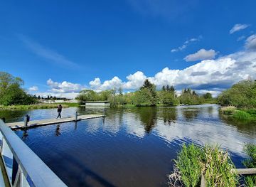 washington/kirkland/attraction/rhododendron-park