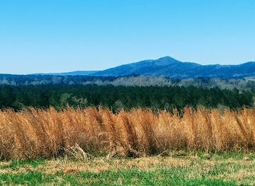 alabama/cherokee-rock-village/attraction/dugger-mountain-wilderness-natural-healing-center