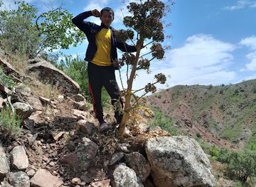 uzbekistan/surkhandarya-region/attraction/besh-kalla