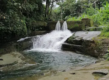 Cascada Sal De Frutas