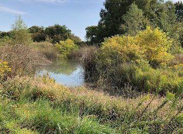 texas/blackland-prairie/attraction/connemara-meadow-nature-preserve