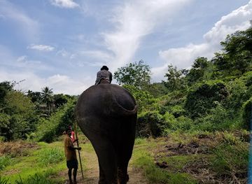 sri-lanka/kegalle-district/attraction/elephant-village