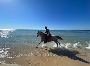 tunisia/the-cap-bon-peninsula/attraction/club-equus-hammamet