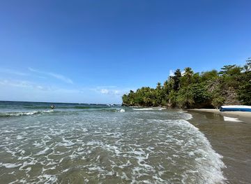trinidad-and-tobago/asa-wright-nature-centre/attraction/blanchissusse