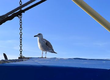 bulgaria/nessebar/attraction/nessebar-misto-setkani