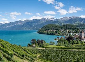 switzerland/murren/attraction/schloss-spiez