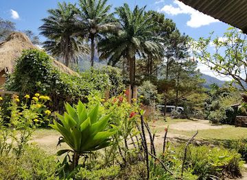 madagascar/mandrare-river/attraction/reserve-peyrieras-madagascar-exotic