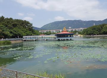 south-korea/south-gyeongsang-province/attraction/yongji-park