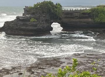 india/kochi/attraction/somans-leisure-tours-india-pvt-ltd