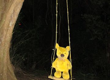 norfolk-island/nepean-island/attraction/wonderland-by-night