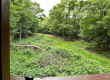 hungary/vertes-mountains/attraction/vadles