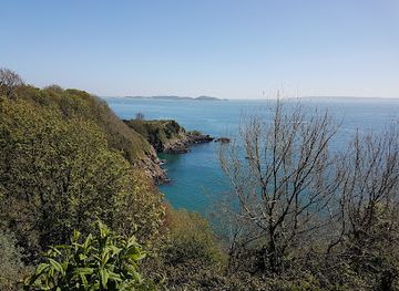 guernsey/brecqhou/attraction/bluebell-woods