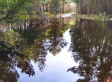 lithuania/curonian-spit-national-park/attraction/dviraciu-takas-juodkrante-smiltyne-bike-way