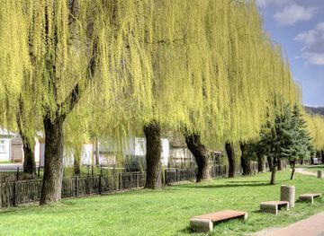 slovakia/muranska-planina-national-park/attraction/naucny-chodnik-trstie