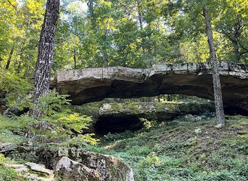 arkansas/central-arkansas/attraction/natural-bridge