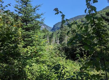 vermont/smugglers-notch-state-park/attraction/barnes-camp-boardwalk