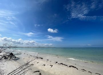florida/honeymoon-island-state-park/attraction/south-beach-pavilion-cafe