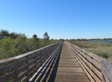 alabama/cotton-bayou/attraction/hugh-s-branyon-backcountry-trail-cotton-bayou-trailhead