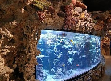 sweden/stockholm/attraction/skansen-aquarium