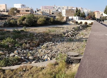 saudi-arabia/al-soudah-park/attraction/aljusr-alothmani